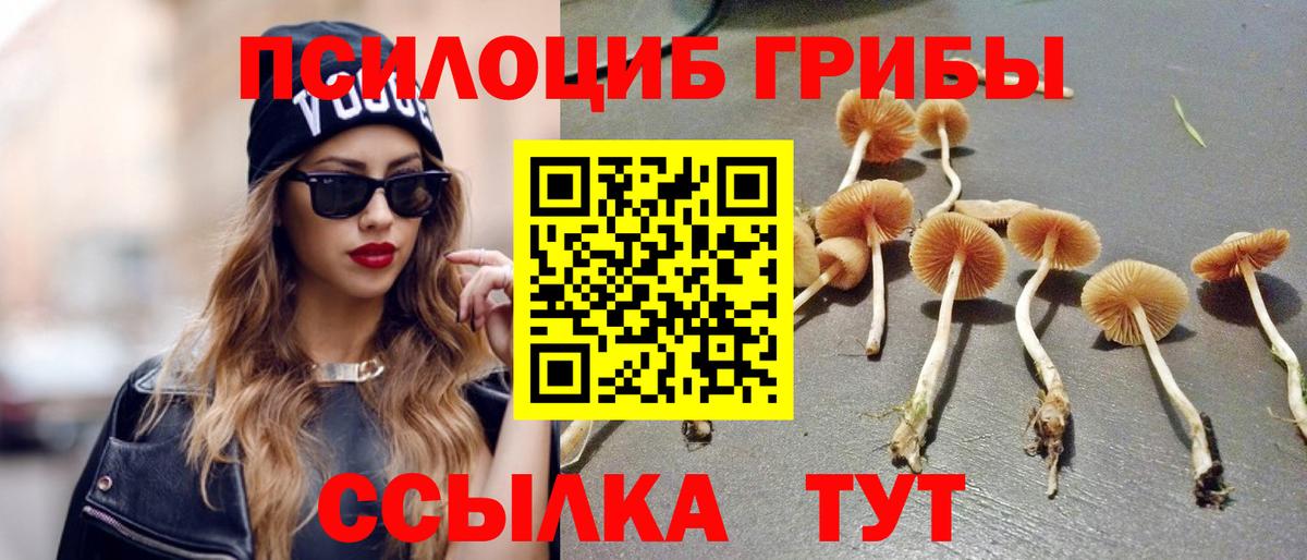 Ростов-на-Дону  Псилоцибиновые грибы Psilocybine cubensis  Вход с VPN 